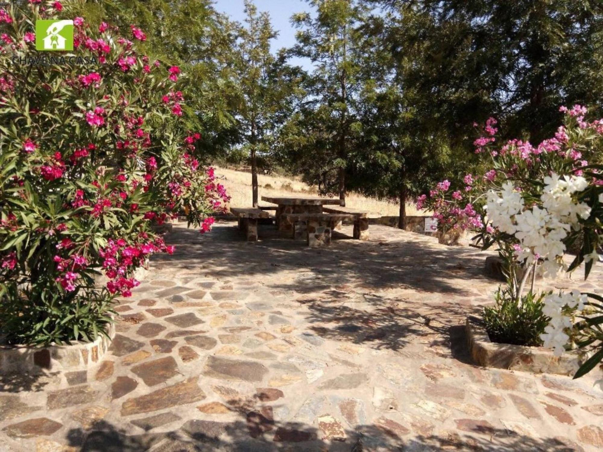 Casa Das Bonecas Farelos de Baixo 외부 사진